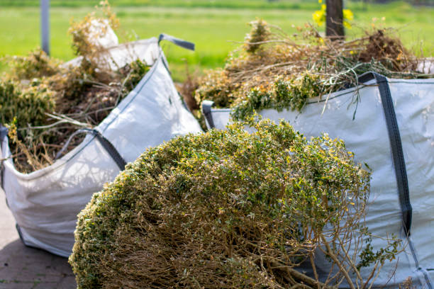 Best Estate Cleanout  in Masonville, KY